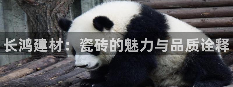 杏鑫平台怎么样黑钱吗安全吗