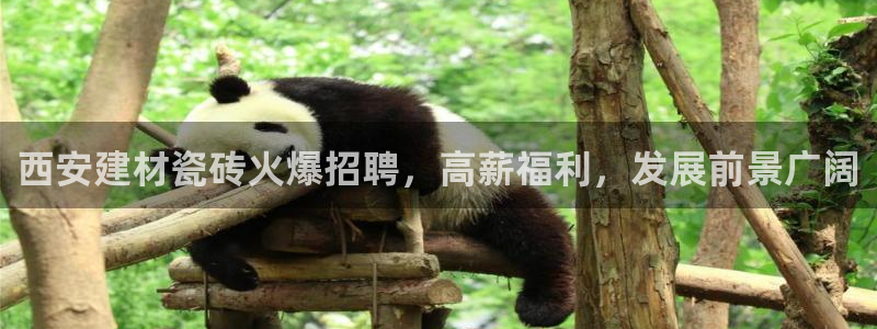 杏鑫平台招商电话号码查询