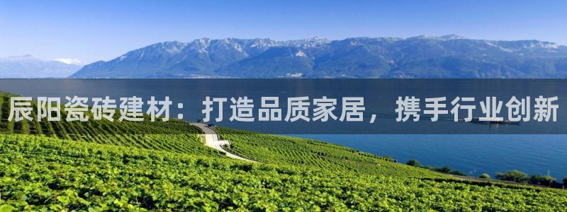 杏鑫平台代理注册流程及费用