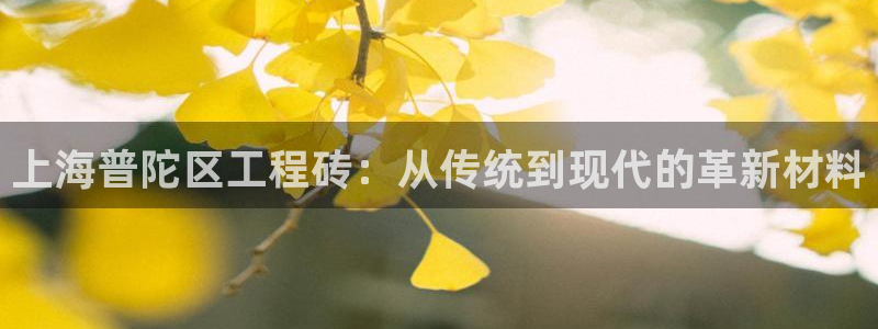 杏鑫代理注册资金多少