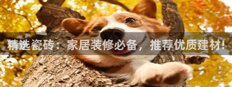 杏鑫平台代理注册登录不了怎么办呀苹果