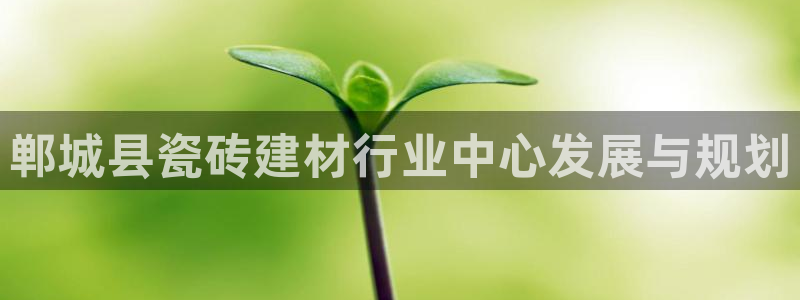 杏鑫官网最新信息新闻