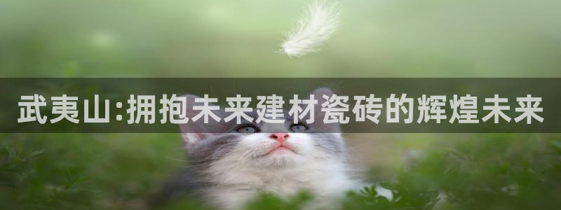 杏鑫平台注册网址查询