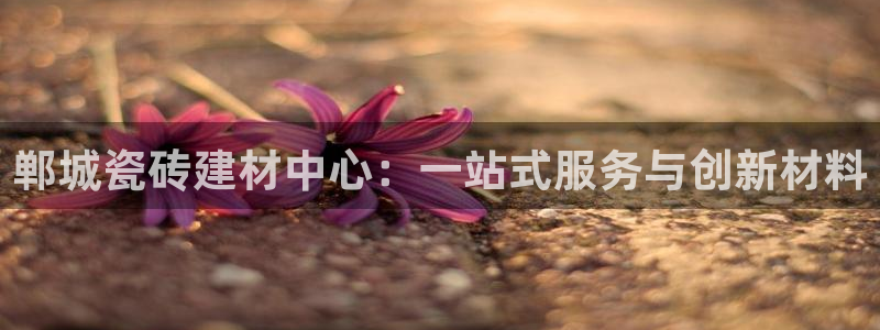 杏鑫官网注册账号密码忘了