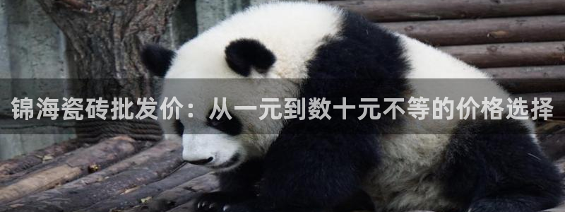 杏鑫平台代理注册登录不了怎么办呀视频