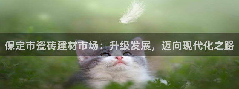 杏鑫平台注册网址