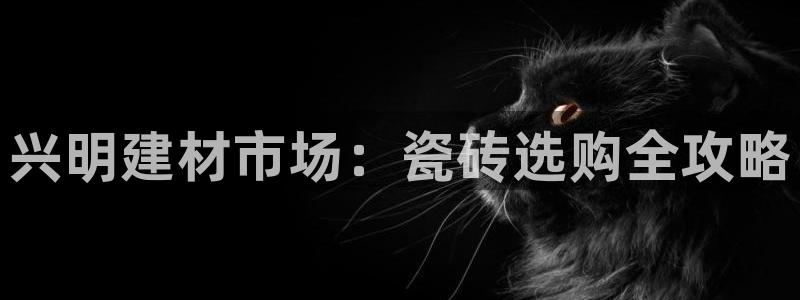 杏鑫平台代理注册登录不了怎么办呀苹果