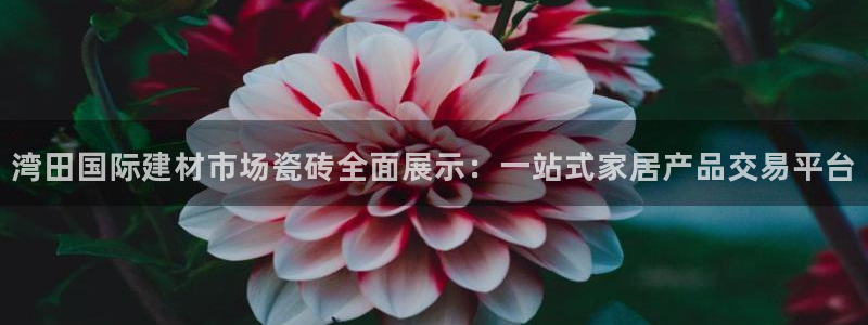 杏鑫平台在线注册