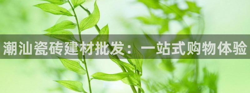 杏鑫官网注册账号怎么注册