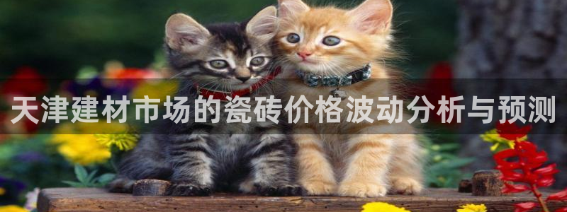 杏鑫平台代理注册多少钱一年