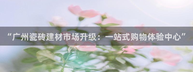 杏鑫代理注册资金多少