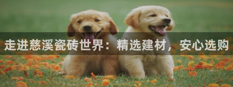 杏鑫平台是黑平台吗是真的吗