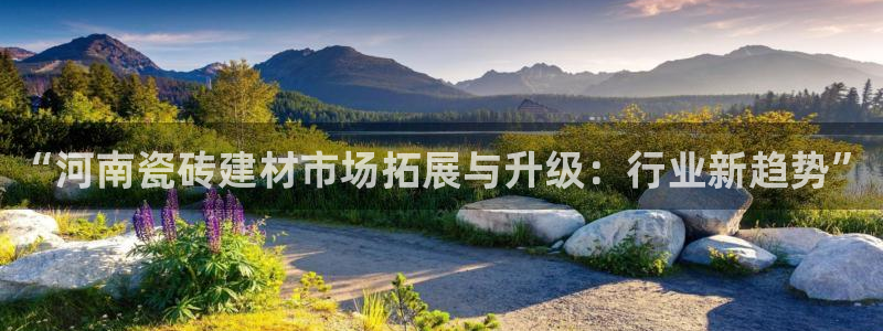 杏鑫平台登录注册