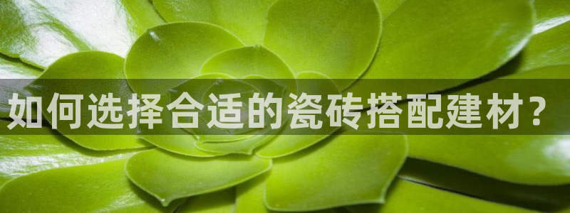 杏鑫注册登录代理