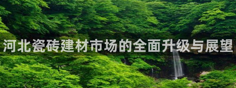 杏鑫平台注册网址查询