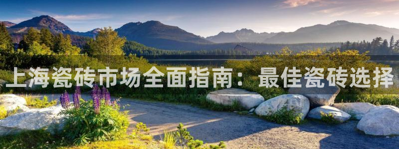 杏鑫官网注册账号