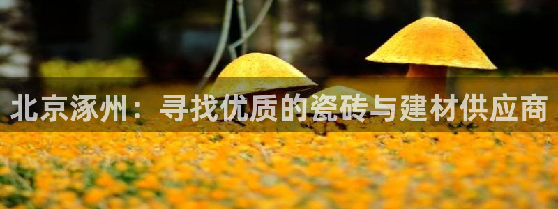 杏鑫平台代理怎么做的