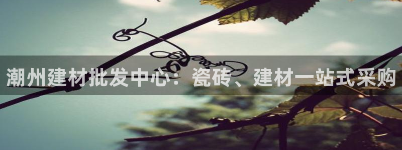 杏鑫招商总代