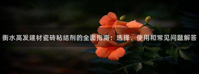 杏鑫平台招商电话