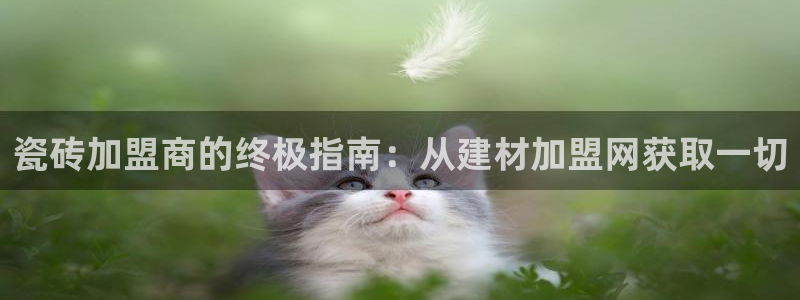 杏鑫平台代理怎么样啊