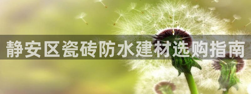 杏鑫手机客户端怎么下载