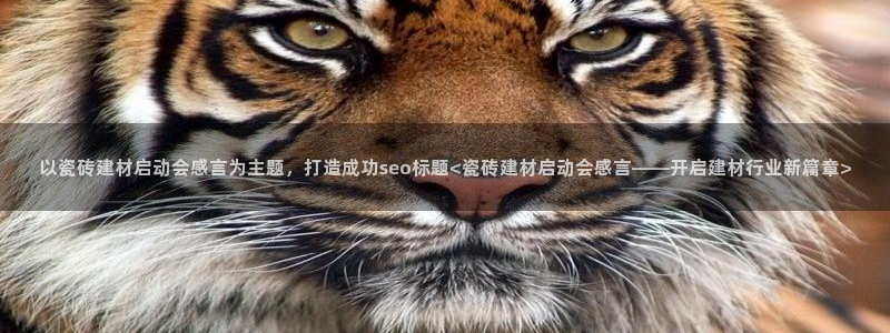 杏鑫主管