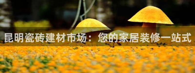 杏鑫官方平台怎么样啊安全吗