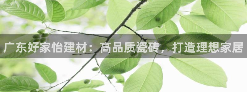 杏鑫平台招商电话号码查询