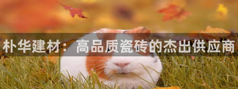 杏鑫平台正规吗可信吗