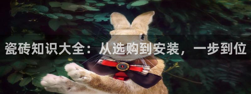 杏鑫平台念7O777