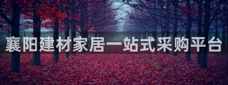 杏鑫官方平台怎么样可靠吗
