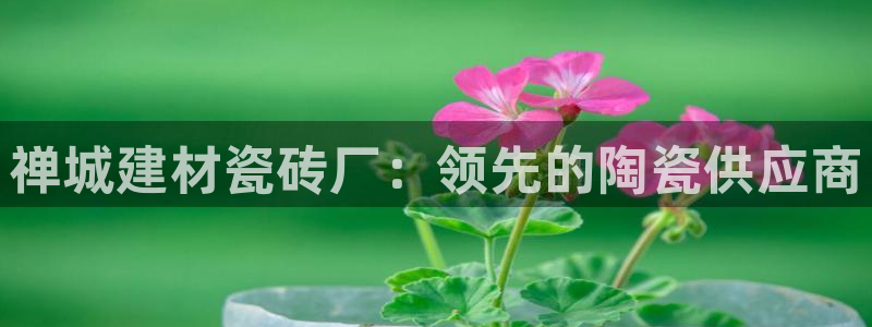 杏鑫平台代理