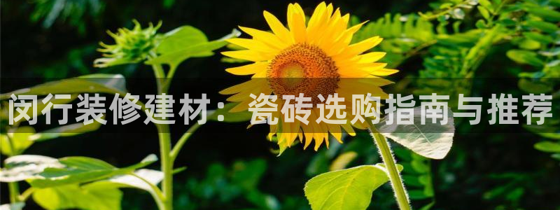 杏鑫平台怎么样黑钱吗是真的吗