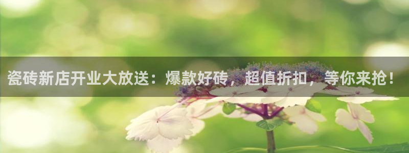 杏鑫平台代理怎么做的