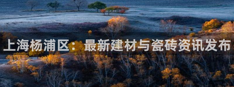 杏鑫平台怎么样黑钱吗是真的吗还是假的