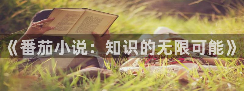 话本小说网官网入口：《番茄小说：知识的无限可能》