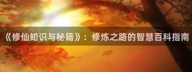 国色芳华话本小说：《修仙知识与秘籍》：修炼之路的智慧百科指南
