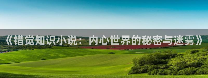 话本小说网免费阅读：《错觉知识小说：内心世界的秘密与迷雾》