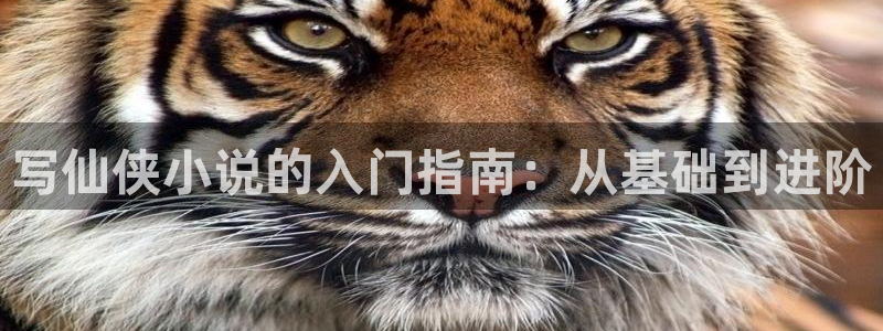 守护甜心话本小说：写仙侠小说的入门指南：从基础到进阶